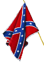 Rebel Flag